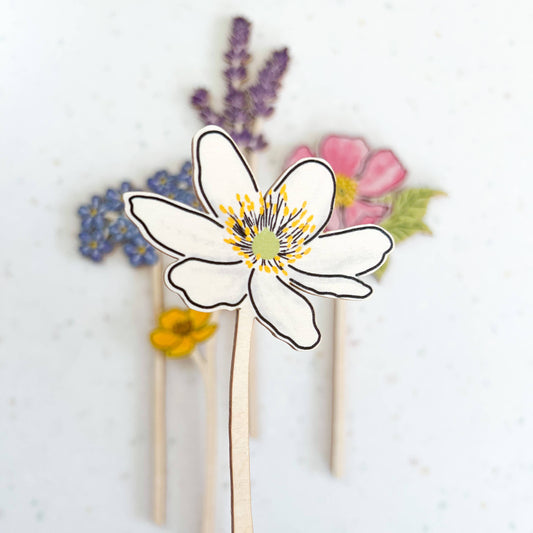 Anemone Wooden Wildflowers