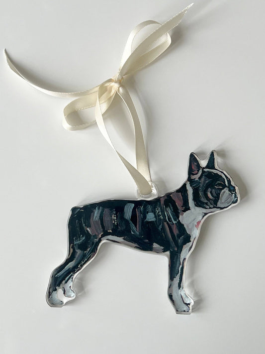 Boston Terrier