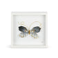 Black & Gold Butterfly 10" Wall Art