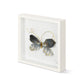 Black & Gold Butterfly 10" Wall Art