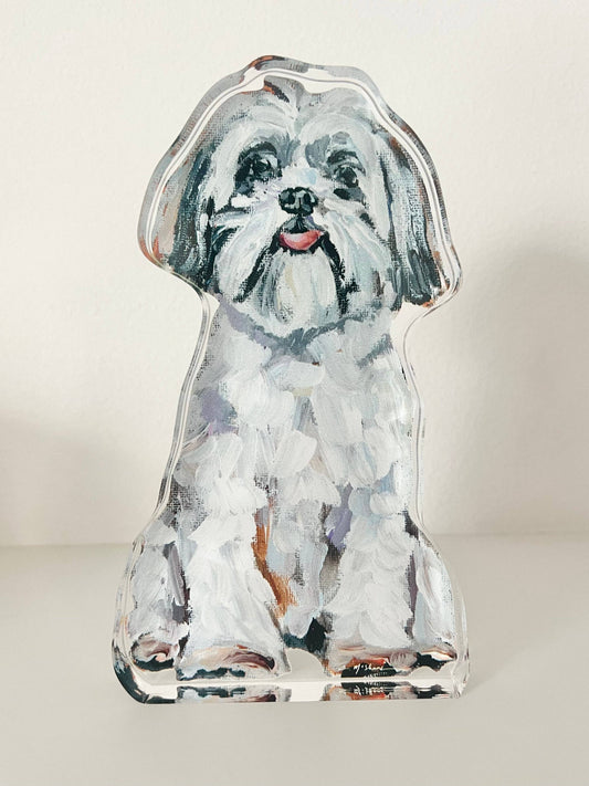 "Shih Tzu white" acrylic