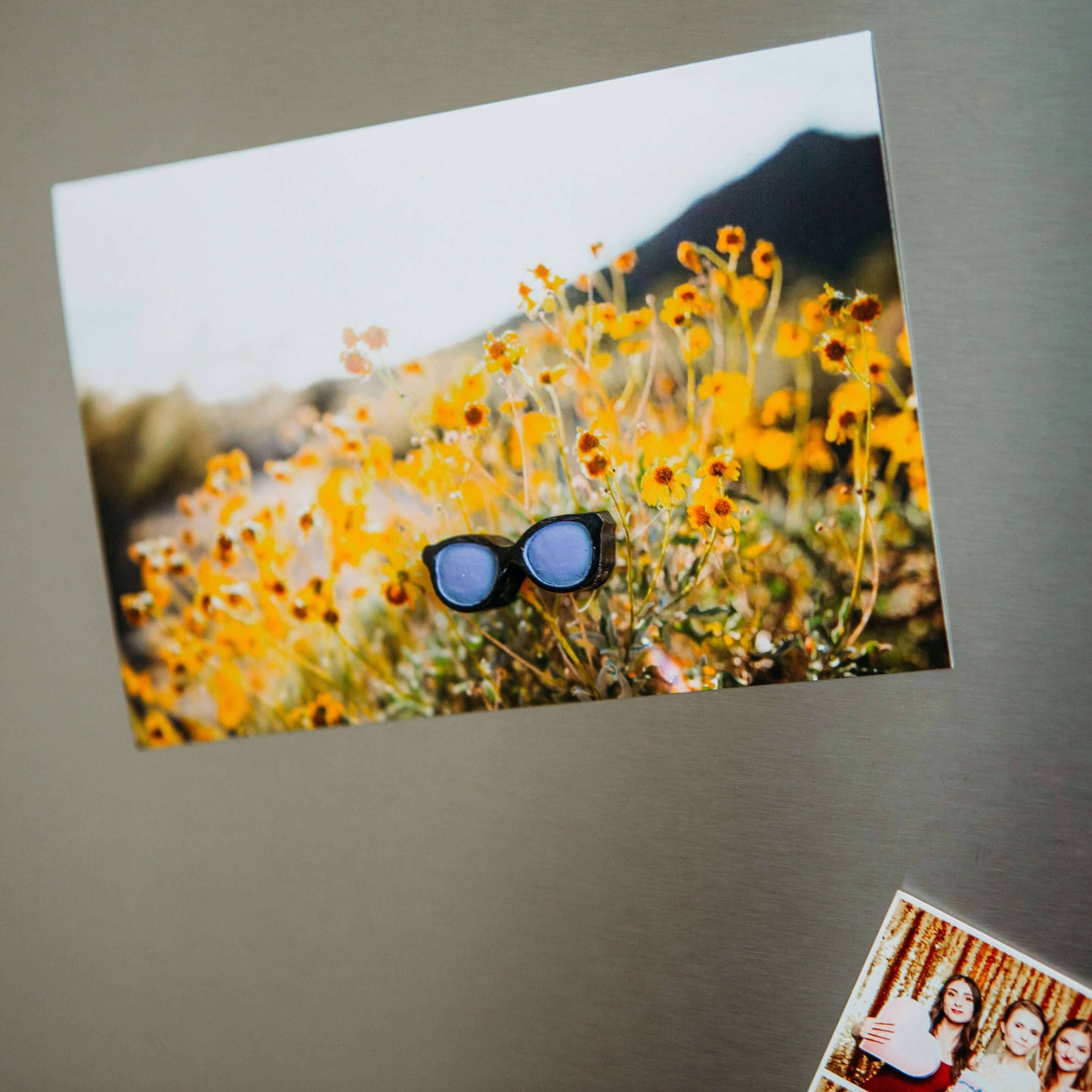 Sunglasses Magnets