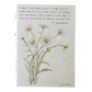 5x7 Floral Verse Print- St. Bernadette